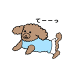 我が家のアイドル犬まこちゃんスタンプ（個別スタンプ：3）