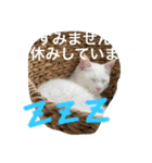 BAR DE KARAOKE AMBITIOUS #2（個別スタンプ：5）