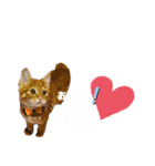 にゃんにゃんいろいろ（個別スタンプ：1）