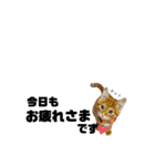 にゃんにゃんいろいろ（個別スタンプ：2）