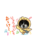 にゃんにゃんいろいろ（個別スタンプ：10）