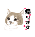 【敬語】可愛い猫と苺の詰め合わせ（個別スタンプ：7）