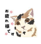 【敬語】可愛い猫と苺の詰め合わせ（個別スタンプ：9）