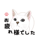 【敬語】可愛い猫と苺の詰め合わせ（個別スタンプ：10）