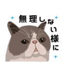 【敬語】可愛い猫と苺の詰め合わせ（個別スタンプ：11）