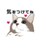 【敬語】可愛い猫と苺の詰め合わせ（個別スタンプ：20）