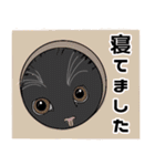 【敬語】可愛い猫と苺の詰め合わせ（個別スタンプ：24）