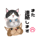 【敬語】可愛い猫と苺の詰め合わせ（個別スタンプ：26）