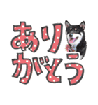 やんちゃ柴犬 茶々姫とお友達★でか文字（個別スタンプ：12）