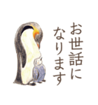 とりさんスタンプ〜丁寧どうぶつ編〜（個別スタンプ：6）
