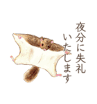 とりさんスタンプ〜丁寧どうぶつ編〜（個別スタンプ：8）