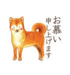 とりさんスタンプ〜丁寧どうぶつ編〜（個別スタンプ：19）