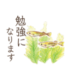 とりさんスタンプ〜丁寧どうぶつ編〜（個別スタンプ：26）