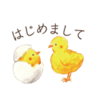 とりさんスタンプ〜丁寧どうぶつ編〜（個別スタンプ：38）