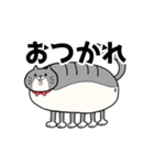 めっちゃすごい猫（個別スタンプ：16）