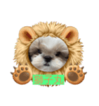 シーズー子犬（個別スタンプ：4）