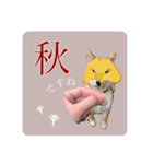 舌ぺろむぎ茶 simple × big ver.（個別スタンプ：15）