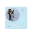 舌ぺろむぎ茶 simple × big ver.（個別スタンプ：16）