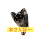 ヤンチャなレオ（個別スタンプ：3）