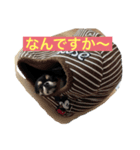 ヤンチャなレオ（個別スタンプ：7）
