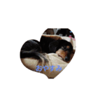 ダックスの老犬まろちゃん（個別スタンプ：2）