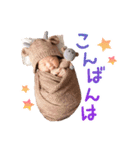 まーちゃんときいちくんの敬語スタンプ（個別スタンプ：3）