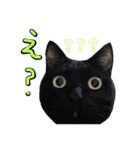 我が家の毎日のスタンプvol.2（個別スタンプ：1）