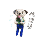 我が家の毎日のスタンプvol.2（個別スタンプ：15）