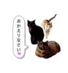 我が家の毎日のスタンプvol.2（個別スタンプ：23）