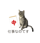 うちの虎太の日常2（個別スタンプ：1）