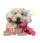 可愛いあんずちゃんのスタンプです！（個別スタンプ：6）
