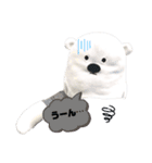 White bearくまお's（個別スタンプ：20）
