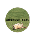 @leoliciousu vol.2（個別スタンプ：4）