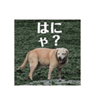 @leoliciousu vol.2（個別スタンプ：7）