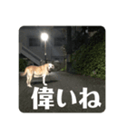 @leoliciousu vol.2（個別スタンプ：14）