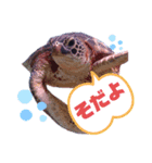 川口の色々（個別スタンプ：3）