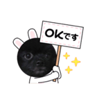 くーちゃんのにちじょー（個別スタンプ：3）