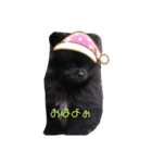 くーちゃんのにちじょー（個別スタンプ：6）