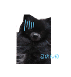 くーちゃんのにちじょー（個別スタンプ：7）