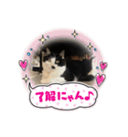 ねねdayo～（個別スタンプ：2）