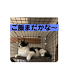 ねねdayo～（個別スタンプ：8）