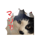 ねねdayo～（個別スタンプ：13）