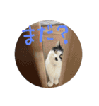 ねねdayo～（個別スタンプ：19）
