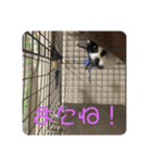 ねねdayo～（個別スタンプ：24）