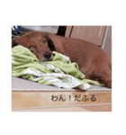 ランわーるど（個別スタンプ：7）