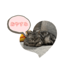 実用性まるたゃ。（個別スタンプ：6）