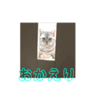 実用性まるたゃ。（個別スタンプ：15）