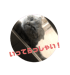 実用性まるたゃ。（個別スタンプ：16）