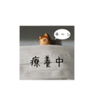 どげにゃん日常会話（個別スタンプ：13）