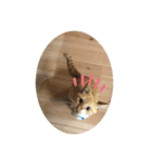 猫って、なんてかわいいの（個別スタンプ：1）